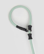 Pawsome Control Leash