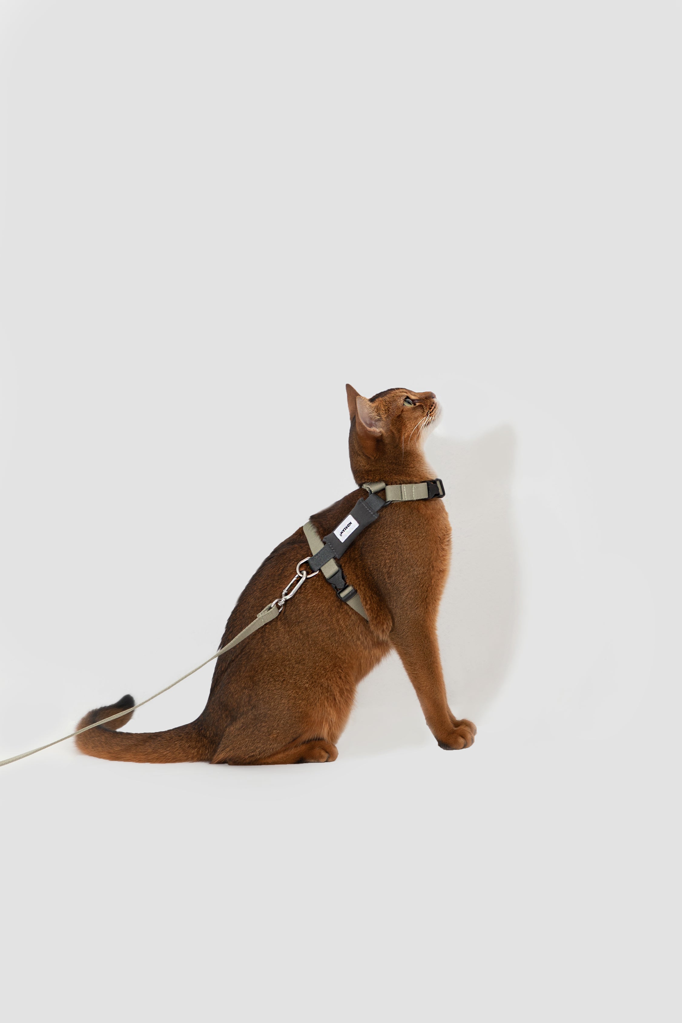 Valley Series Color blocked Cat Chest Back Traction Set