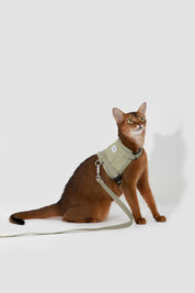 Valley series vest cat chest and back traction set