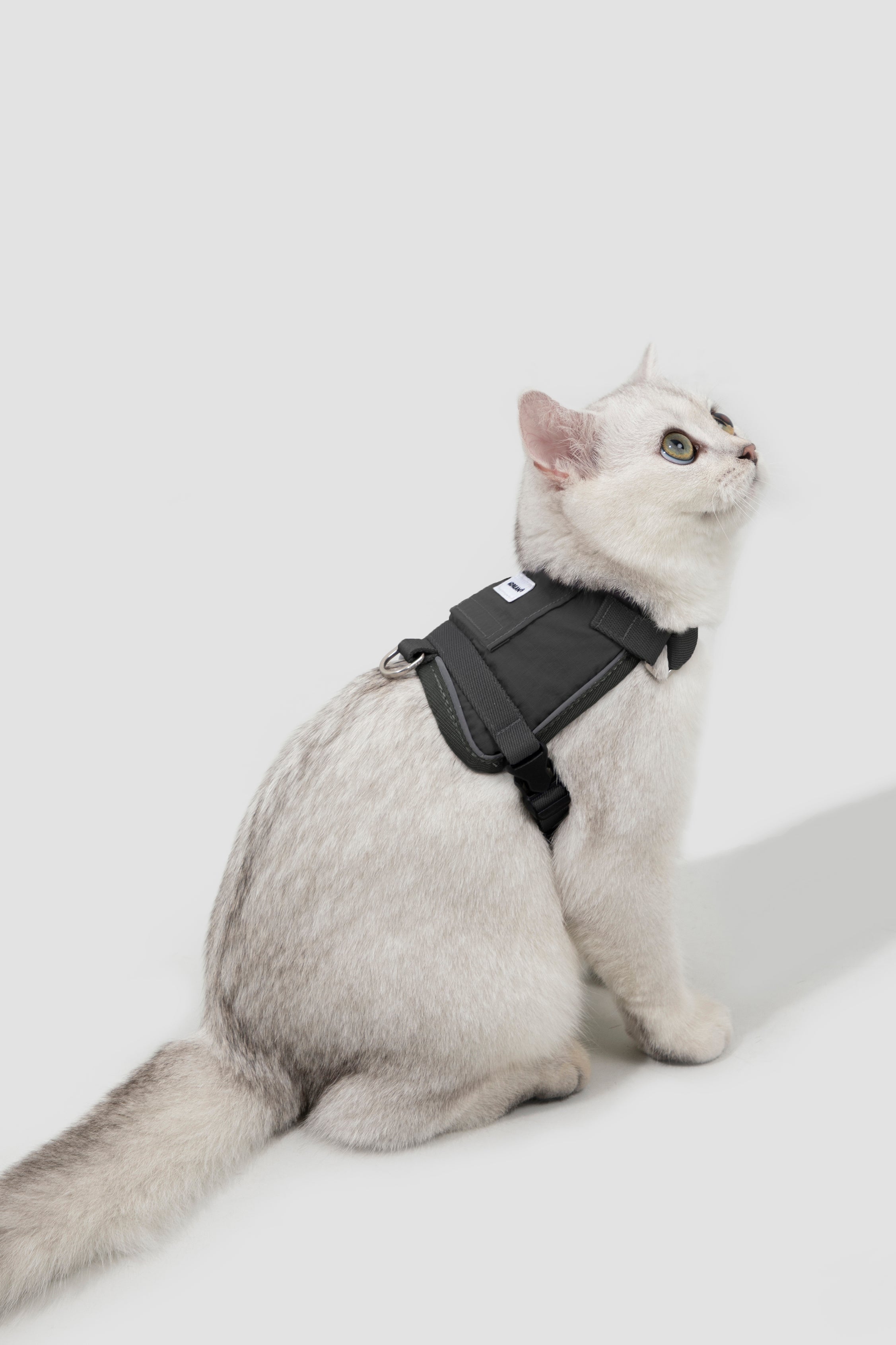 Valley series vest cat chest and back traction set