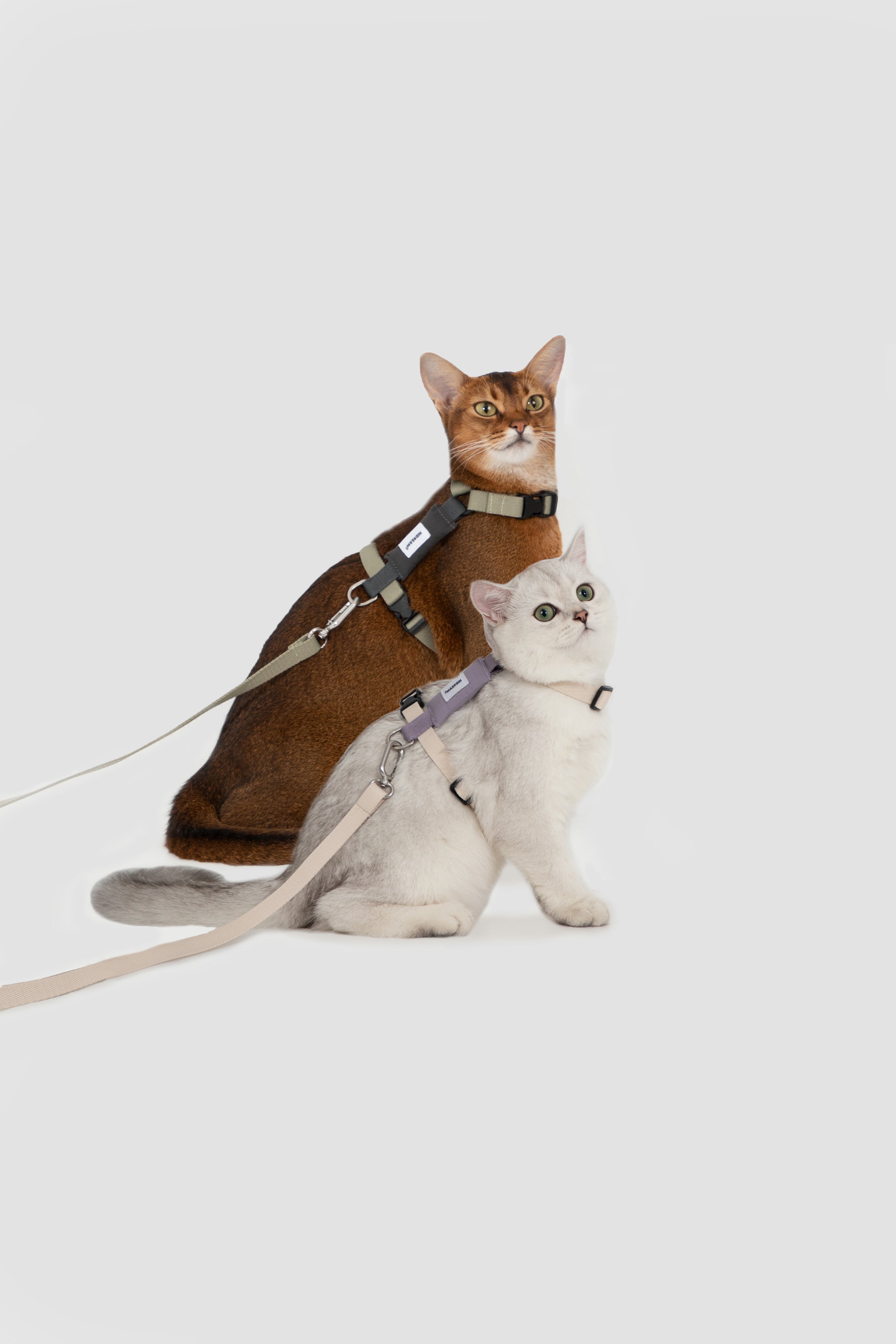 Valley Series Color blocked Cat Chest Back Traction Set