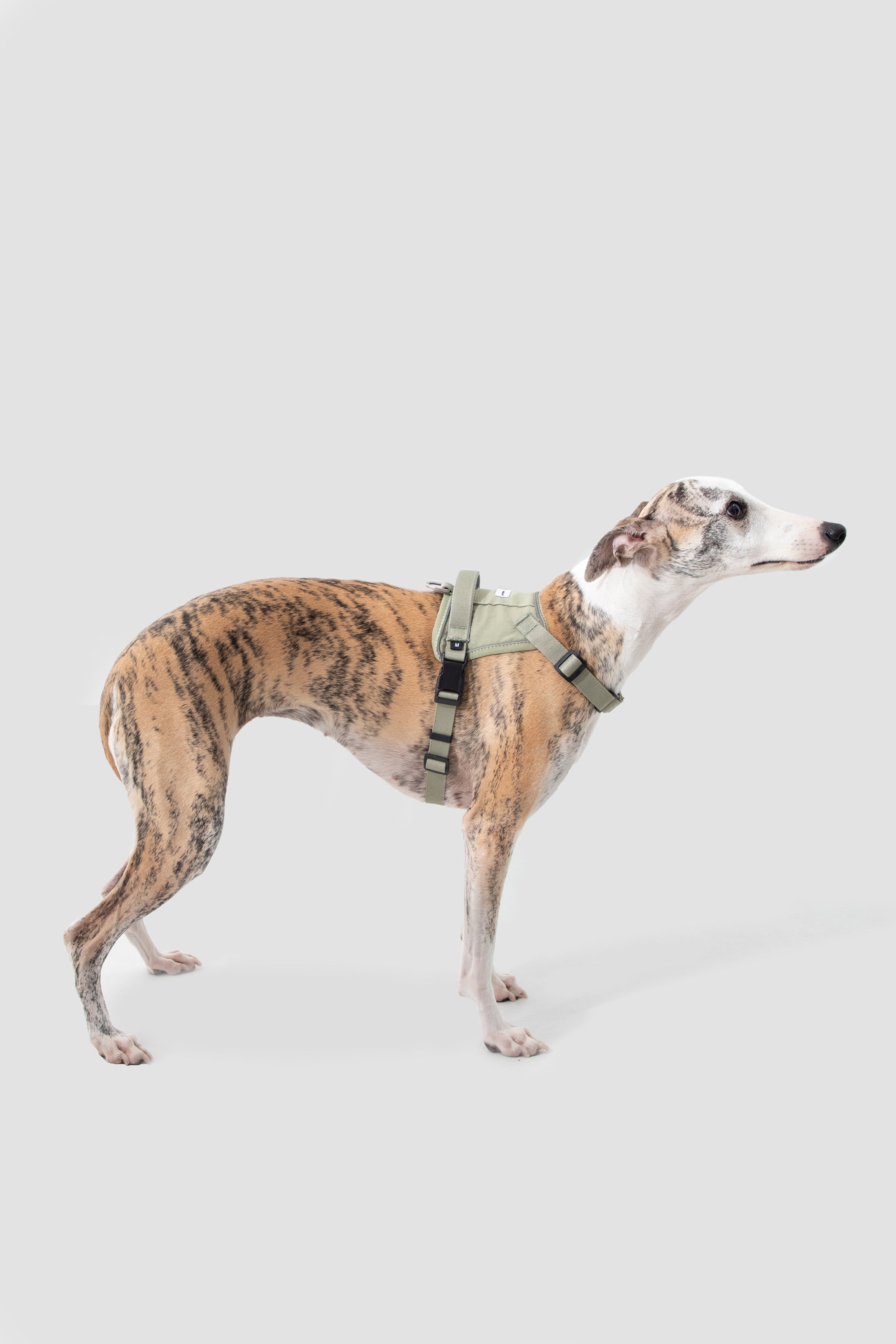 Valley series explosion-proof punching speed through dog chest and back