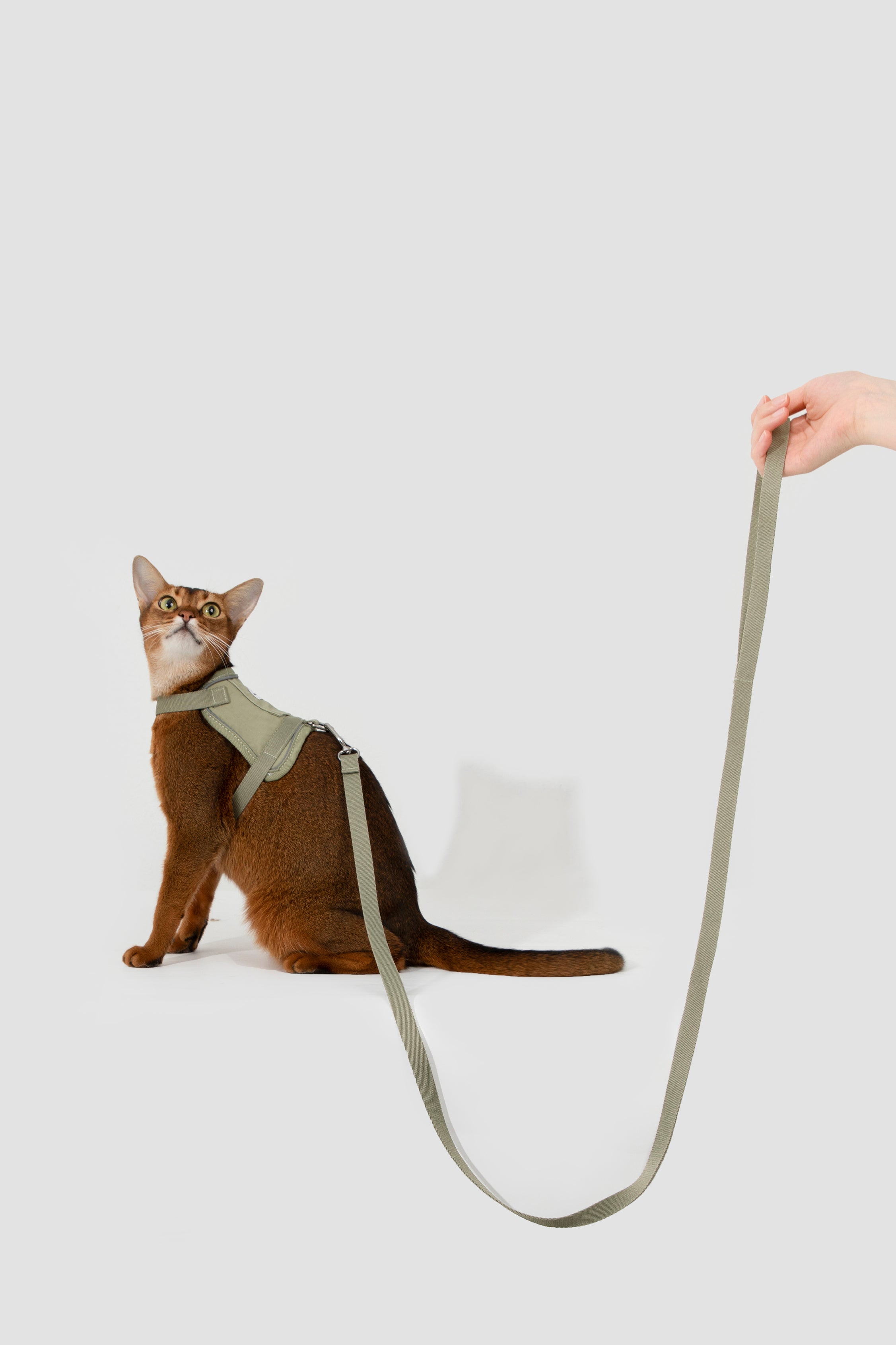 Valley series vest cat chest and back traction set
