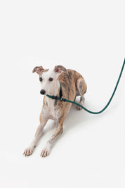 Bobo Series - Leather Integrated Coarse P Rope