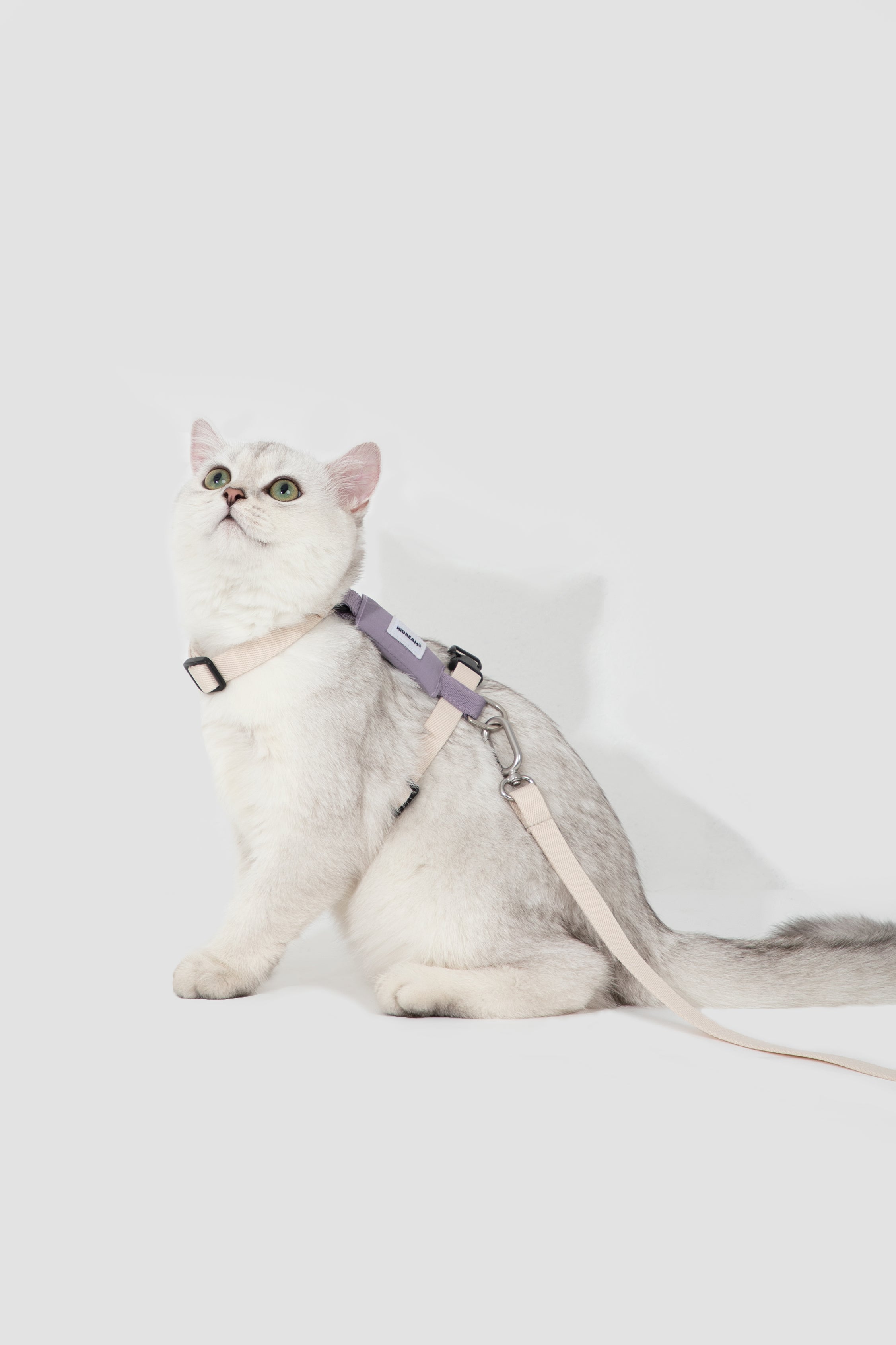 Valley Series Color blocked Cat Chest Back Traction Set