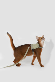 Valley series vest cat chest and back traction set