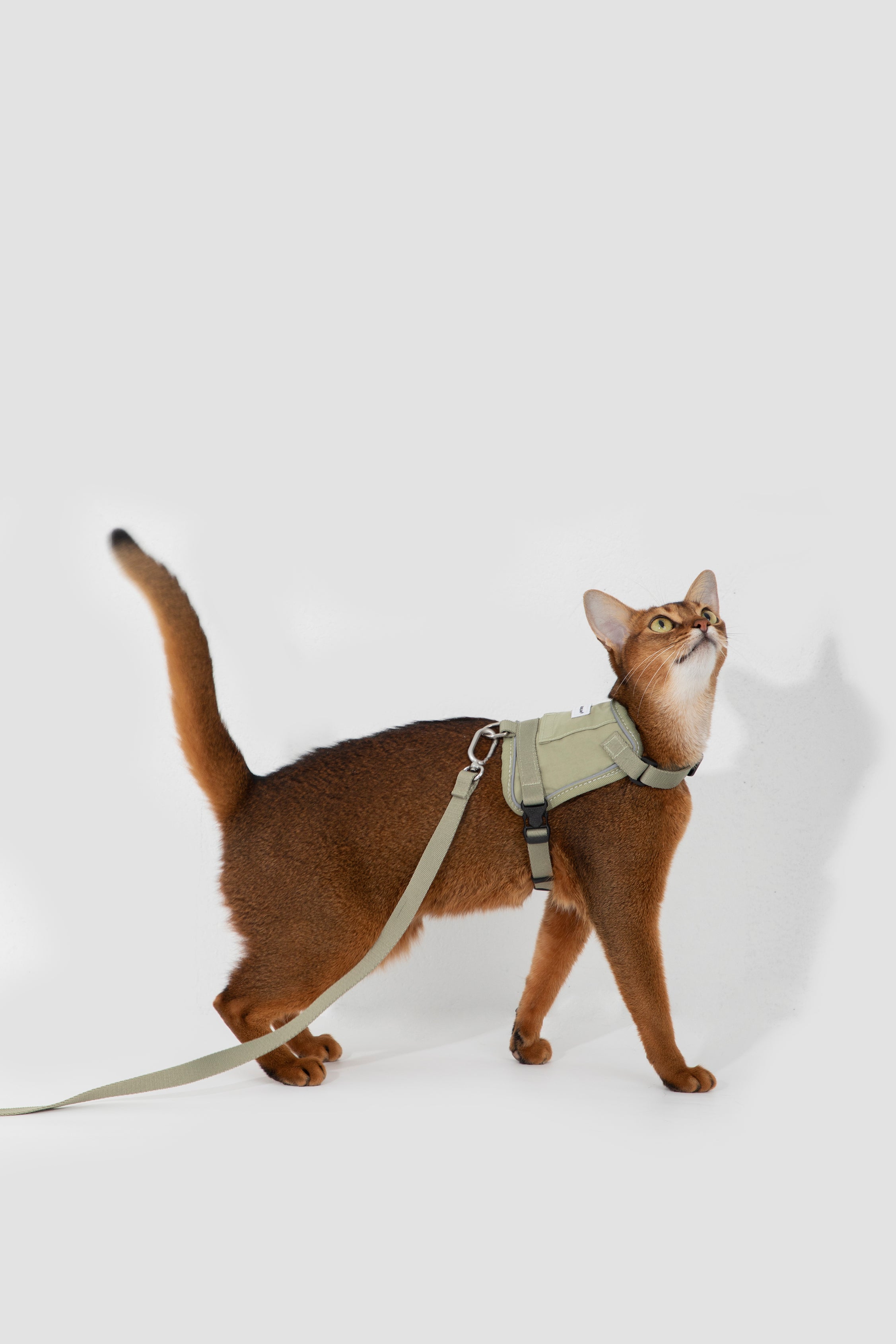 Valley series vest cat chest and back traction set