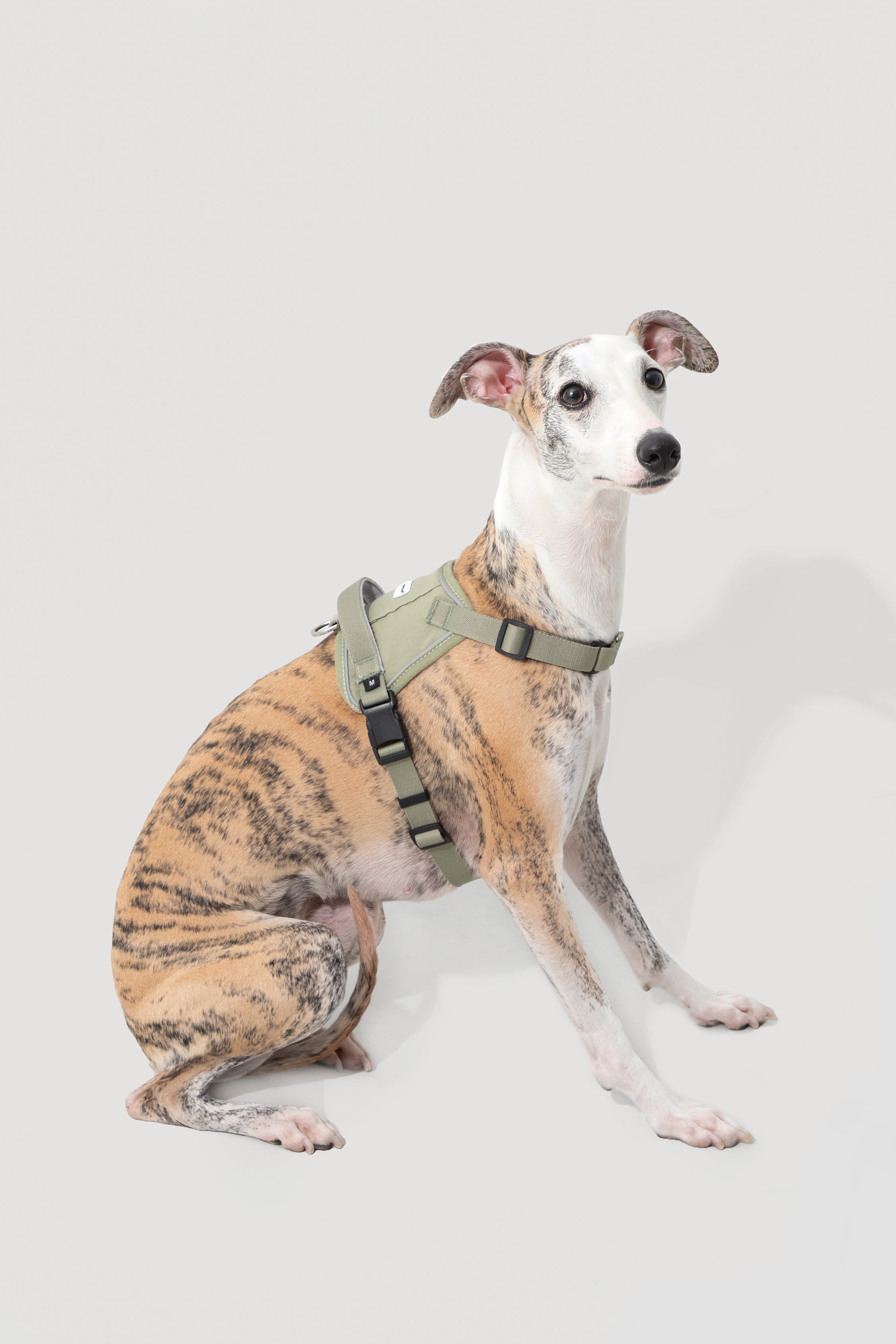 Valley series explosion-proof punching speed through dog chest and back