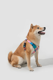 Colorful PRO Series - X-shaped Chest and Back