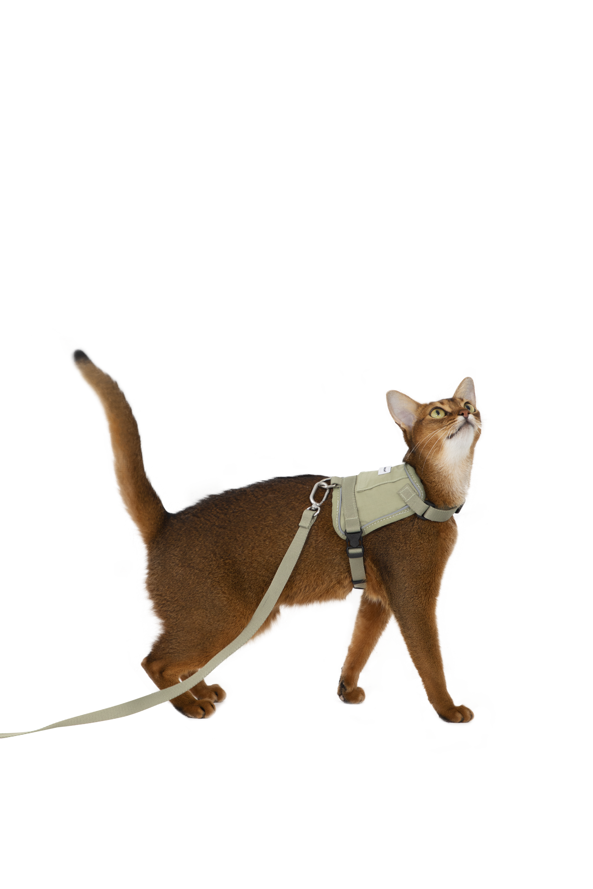 Valley series vest cat chest and back traction set