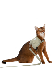 Valley series vest cat chest and back traction set