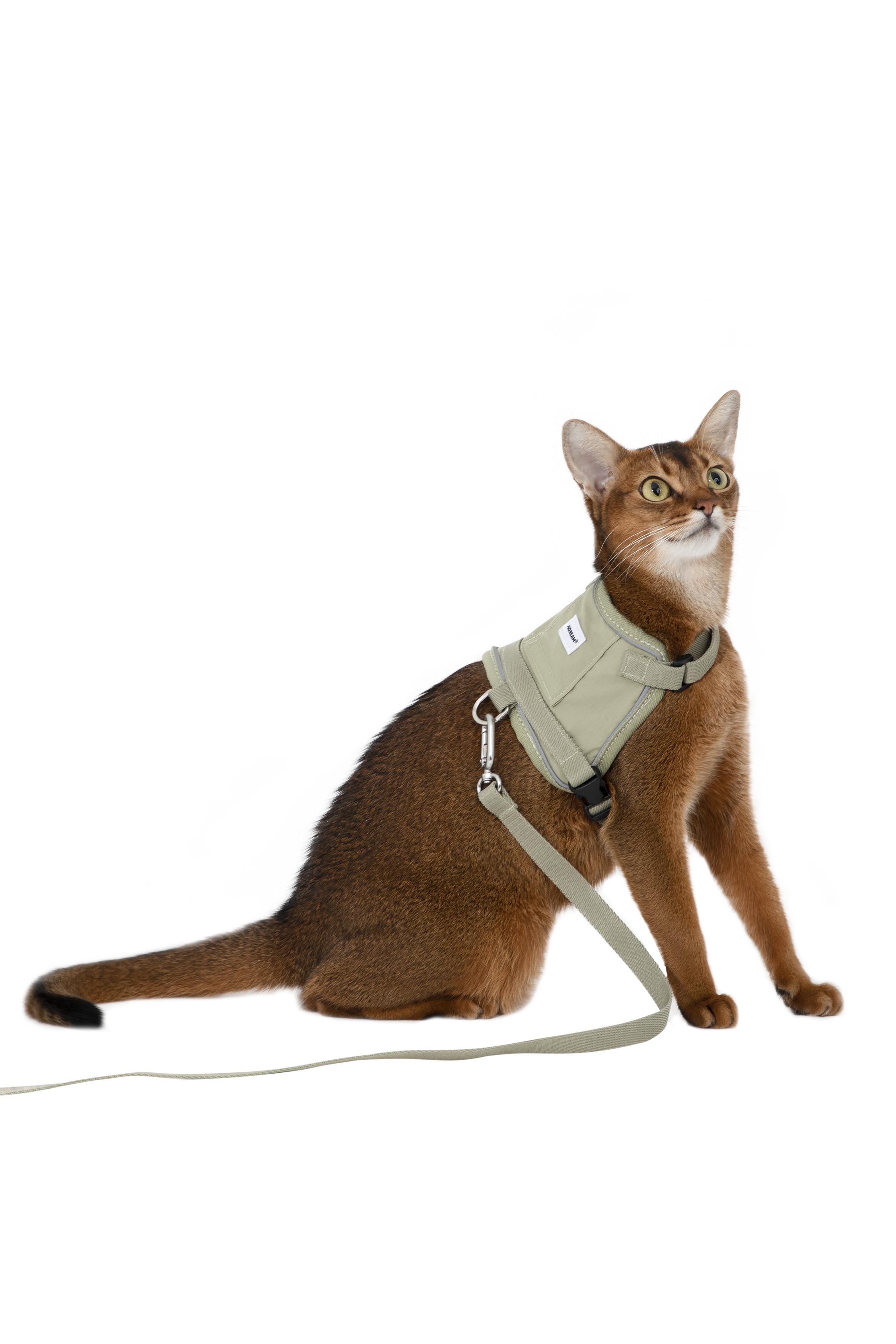 Valley series vest cat chest and back traction set