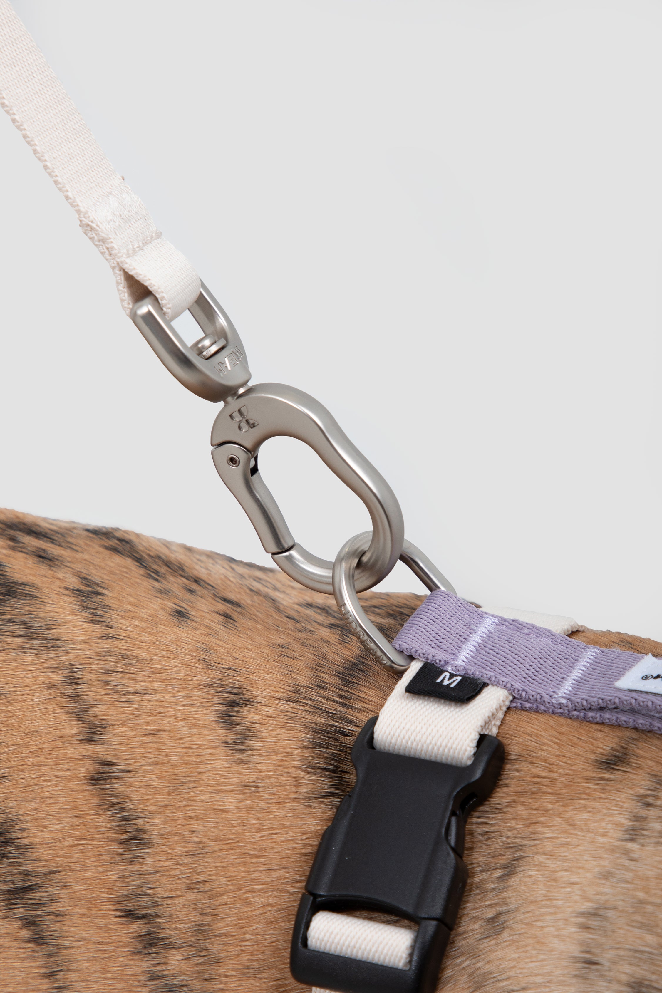 Valley series dog color blocked work chest and back
