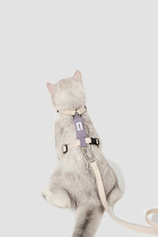 Valley Series Color blocked Cat Chest Back Traction Set