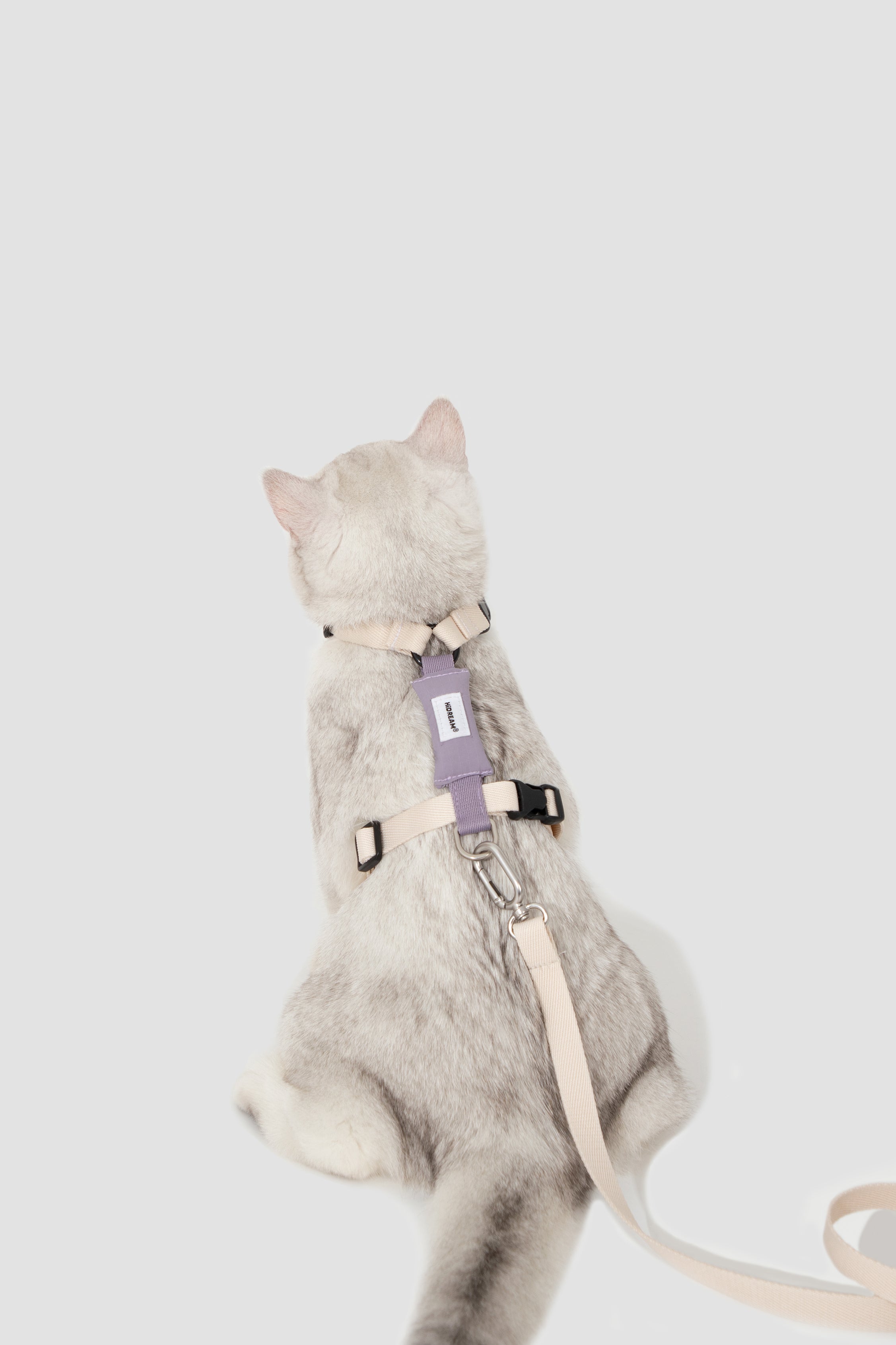 Valley Series Color blocked Cat Chest Back Traction Set