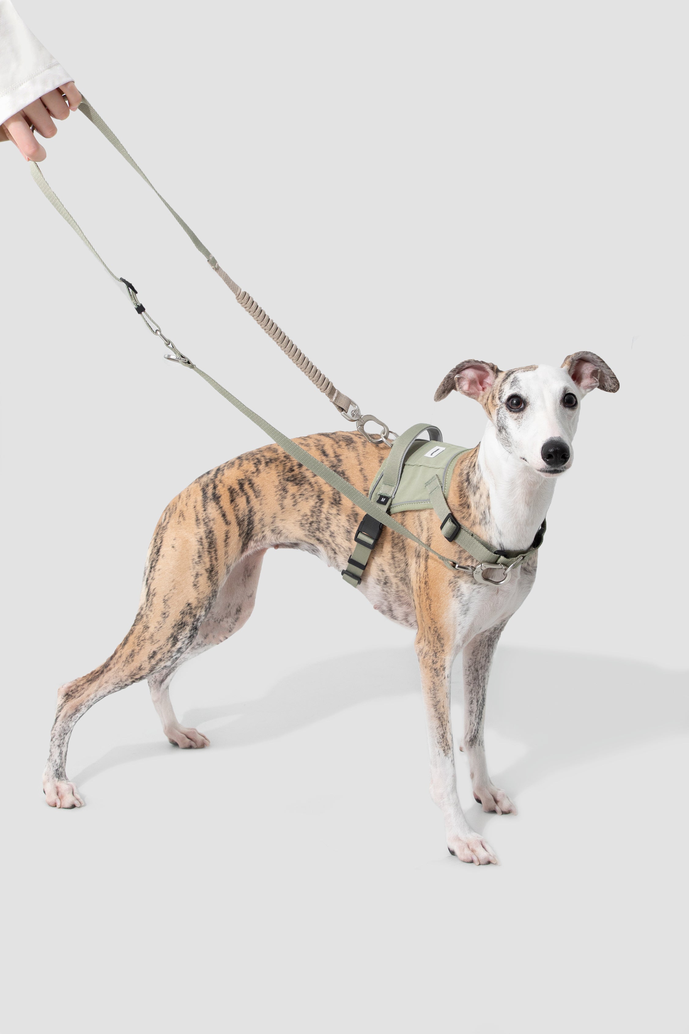 Valley series explosion-proof punching speed through dog chest and back