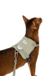 Valley series vest cat chest and back traction set