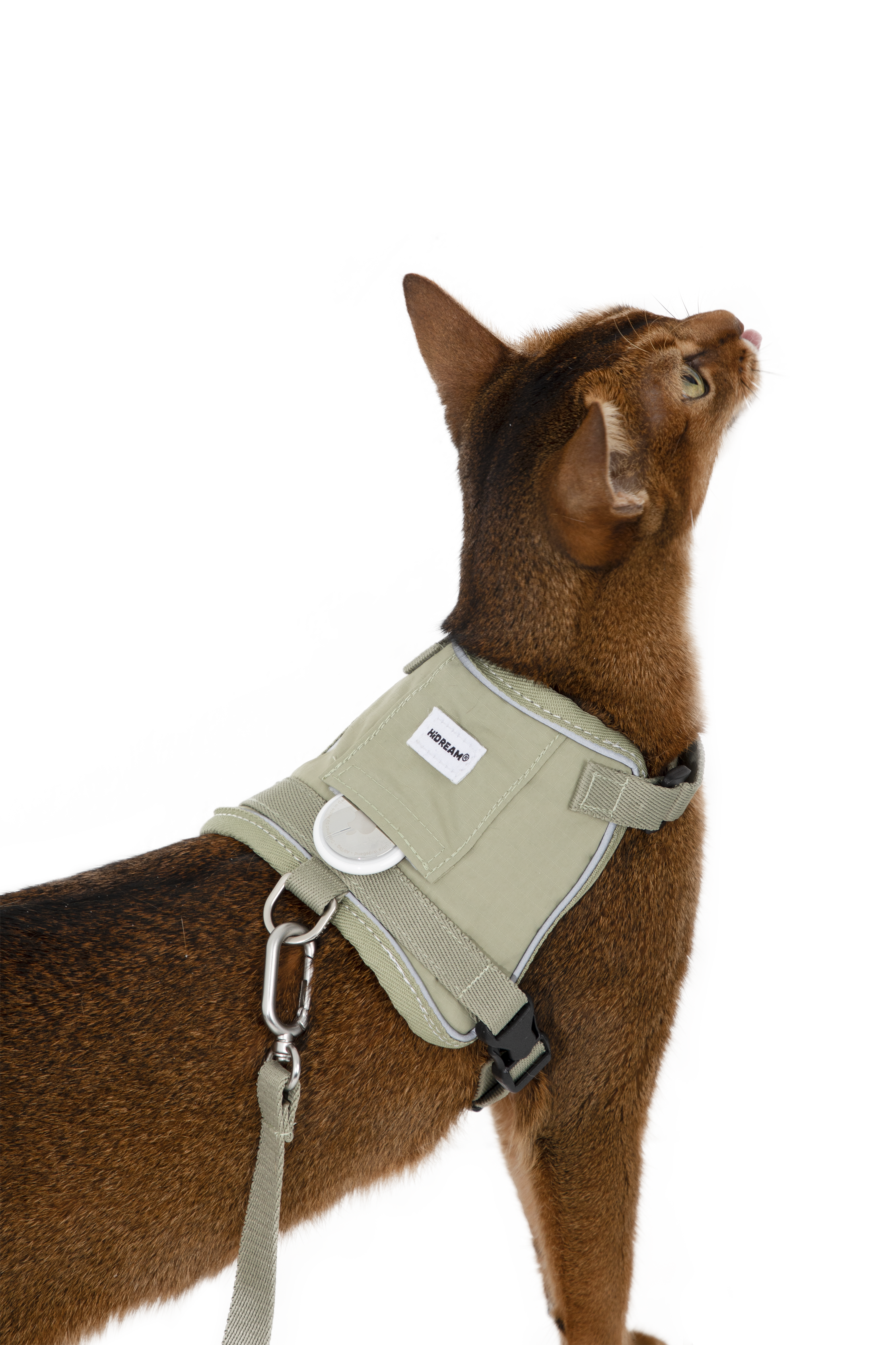 Valley series vest cat chest and back traction set