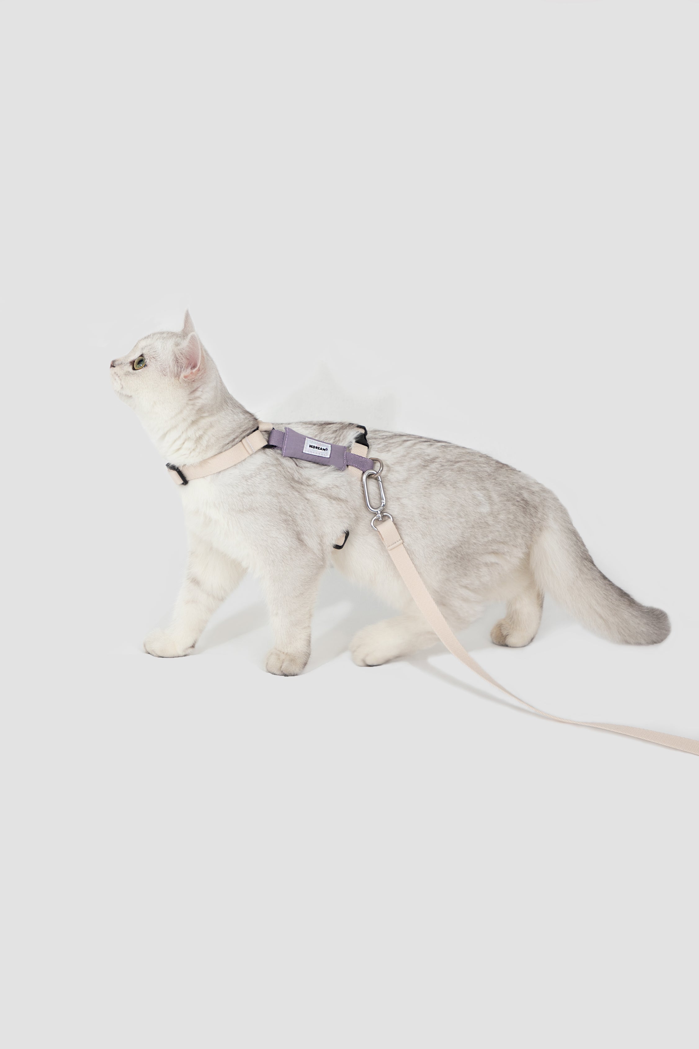 Valley Series Color blocked Cat Chest Back Traction Set