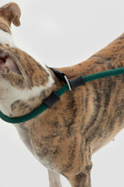 Bobo Series - Leather Integrated Coarse P Rope