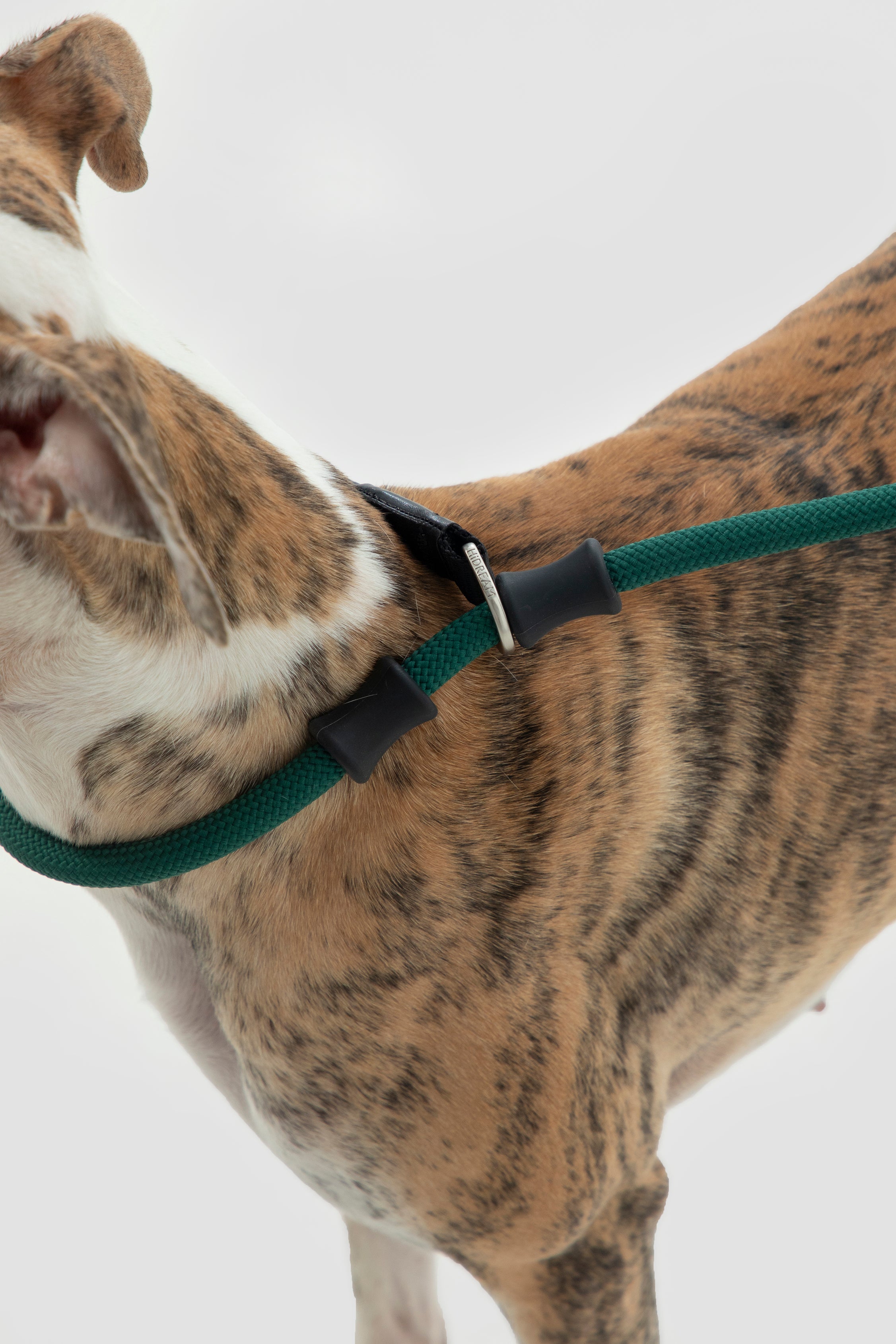 Bobo Series - Leather Integrated Coarse P Rope