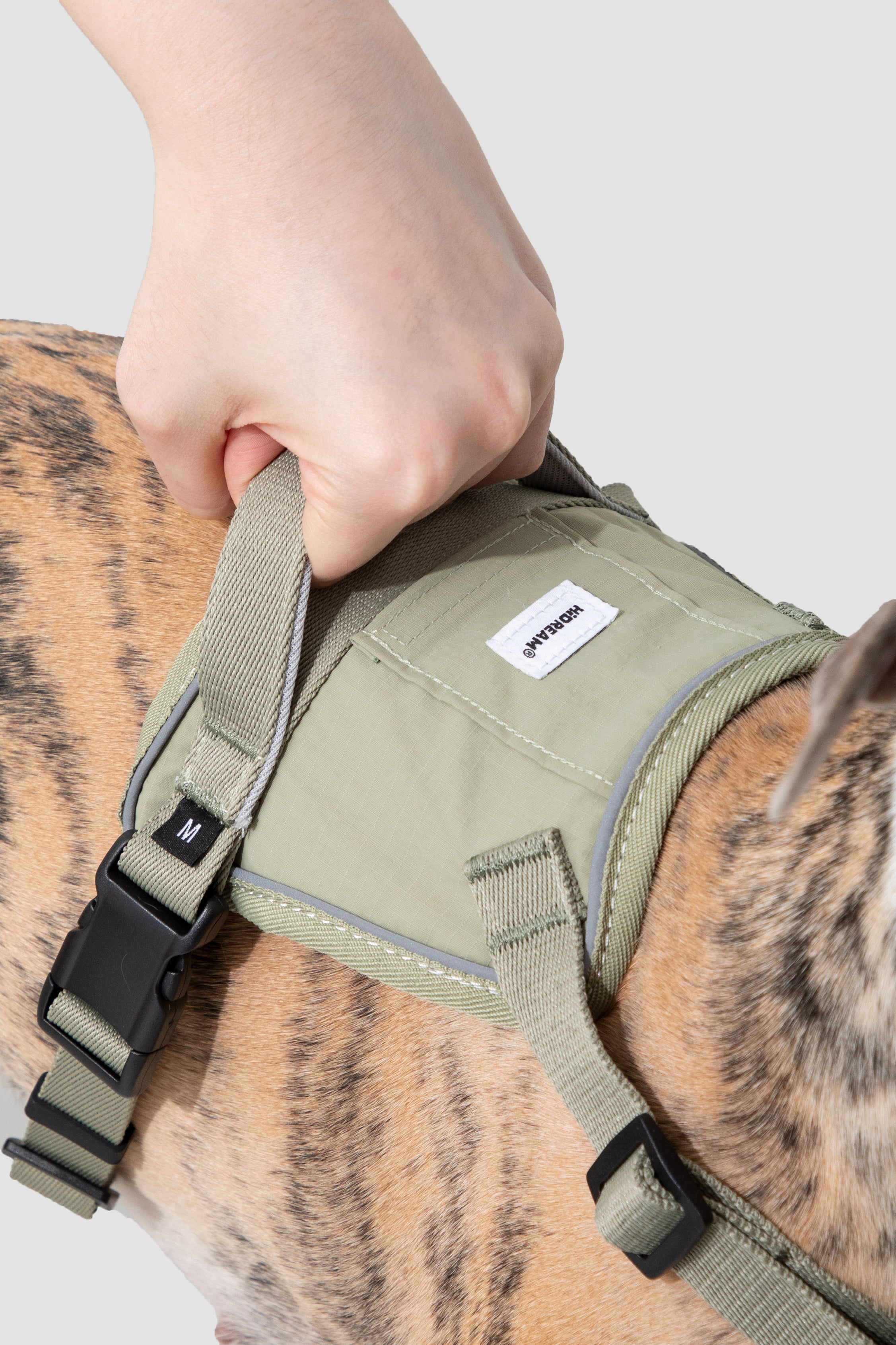 Valley series explosion-proof punching speed through dog chest and back