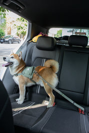 Valley series car seat belt
