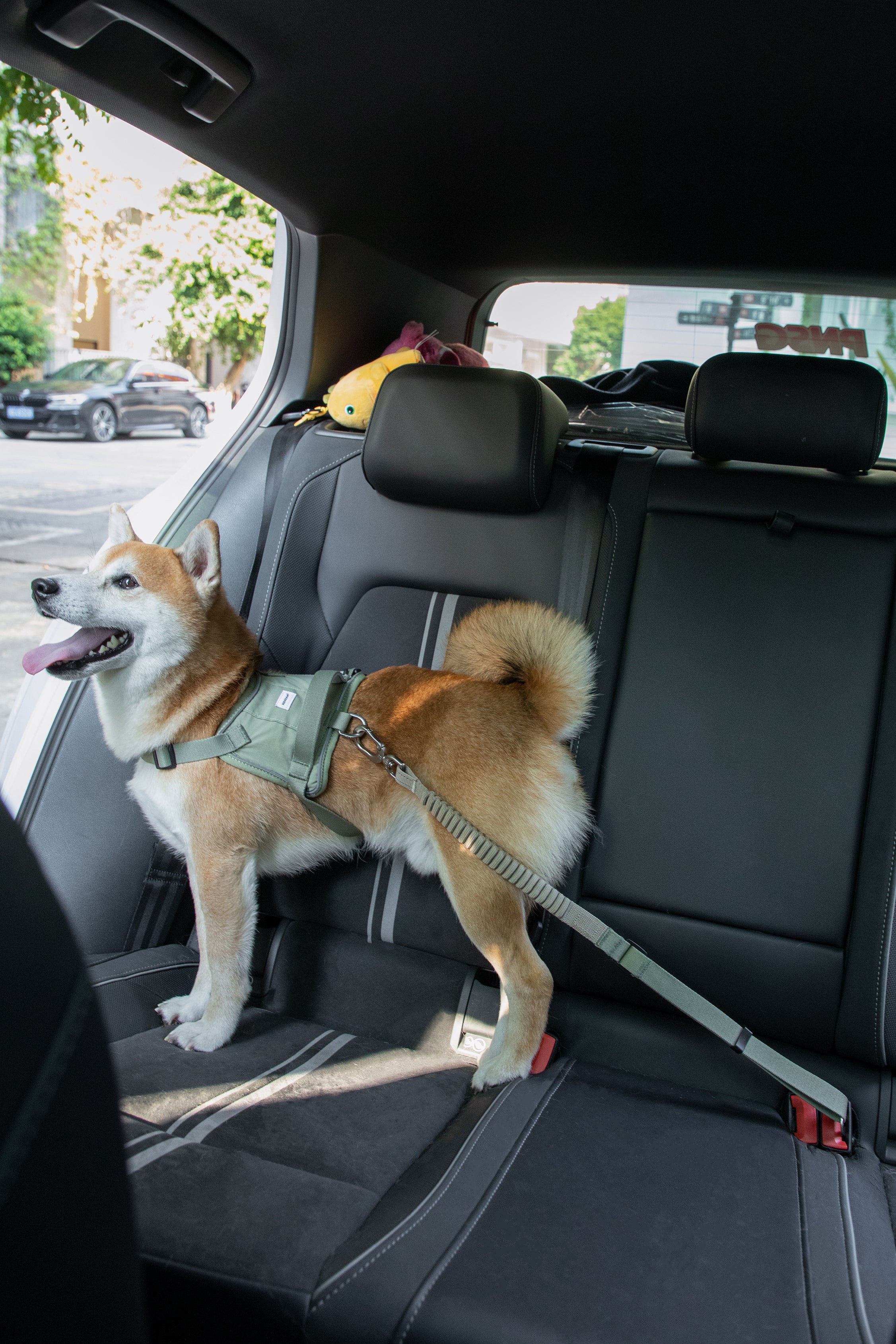 Valley series car seat belt