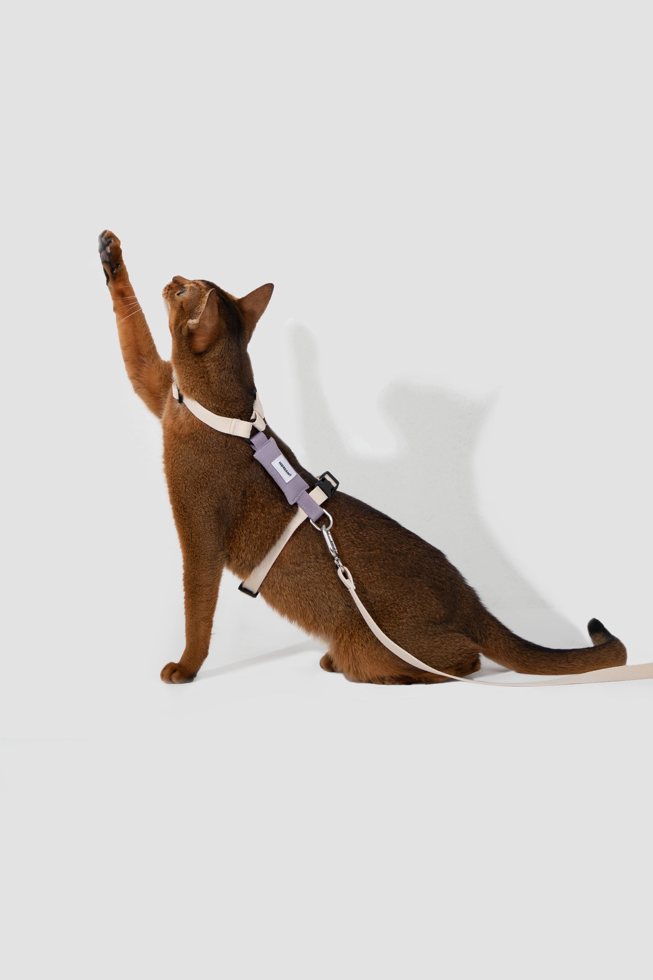Valley Series Color blocked Cat Chest Back Traction Set