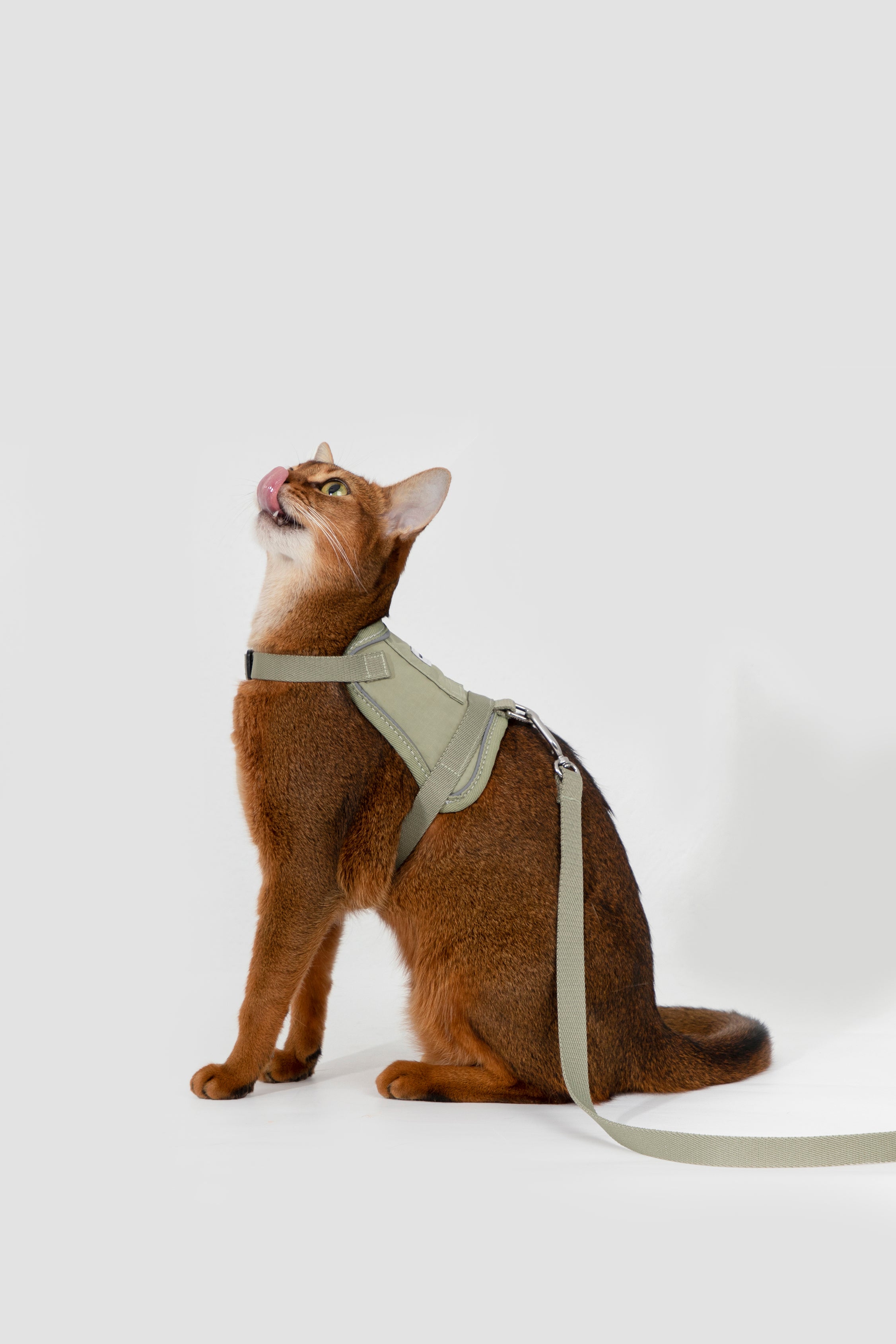 Valley series vest cat chest and back traction set