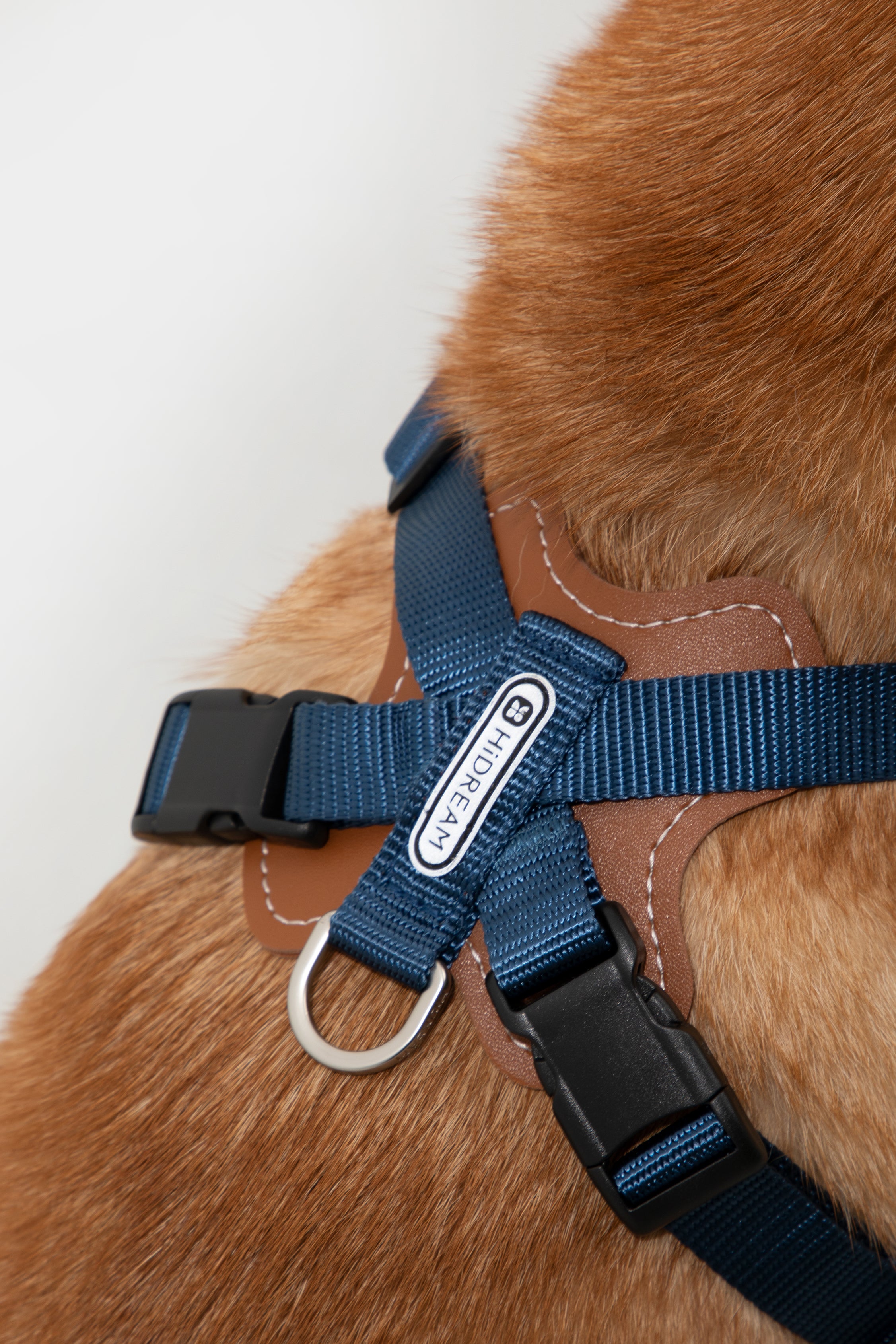 Bobo Series - Leather X-shaped Chest and Back