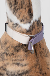 Valley Series Dog Half P Explosion proof Clash Collar