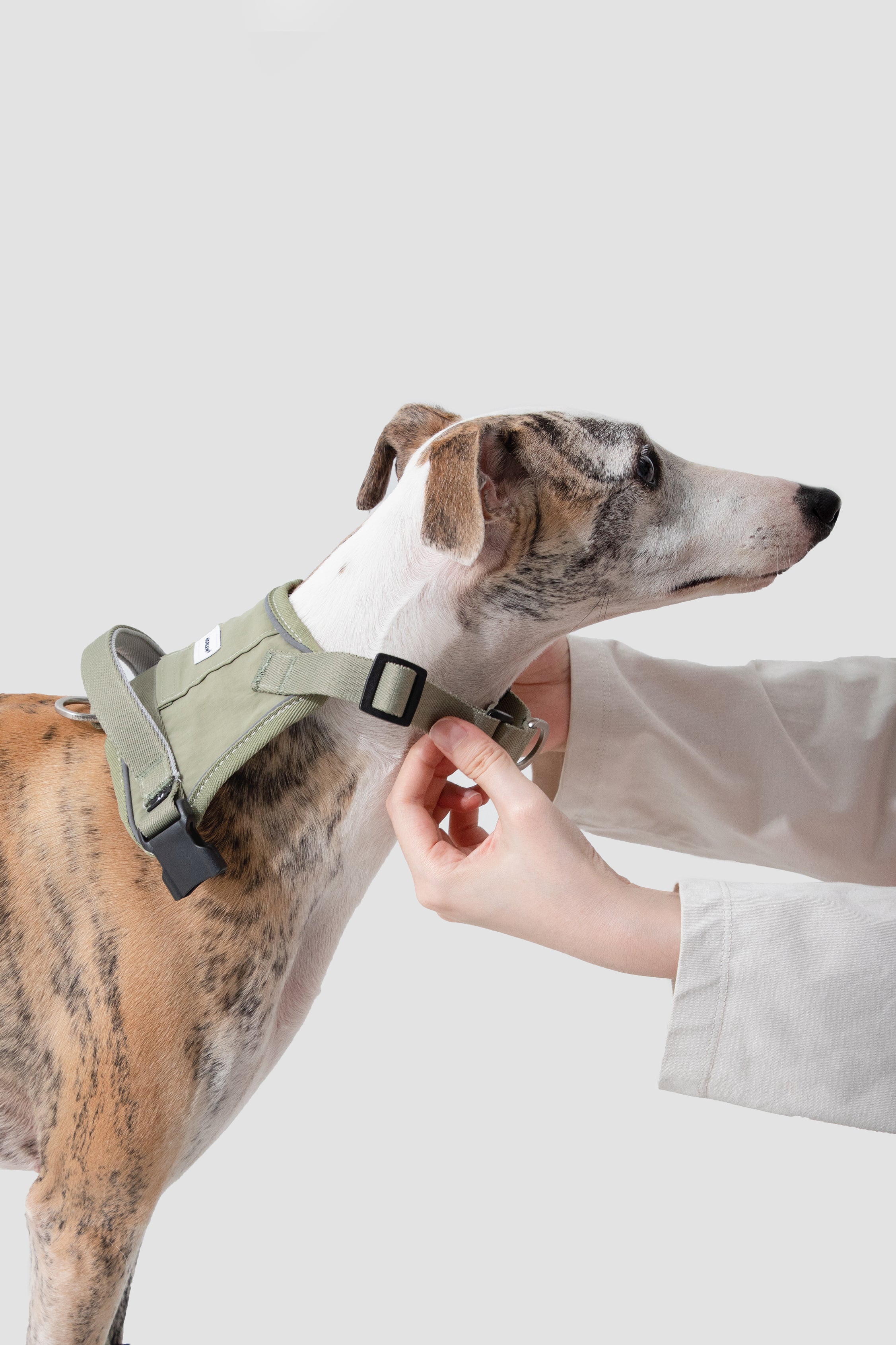 Valley series explosion-proof punching speed through dog chest and back
