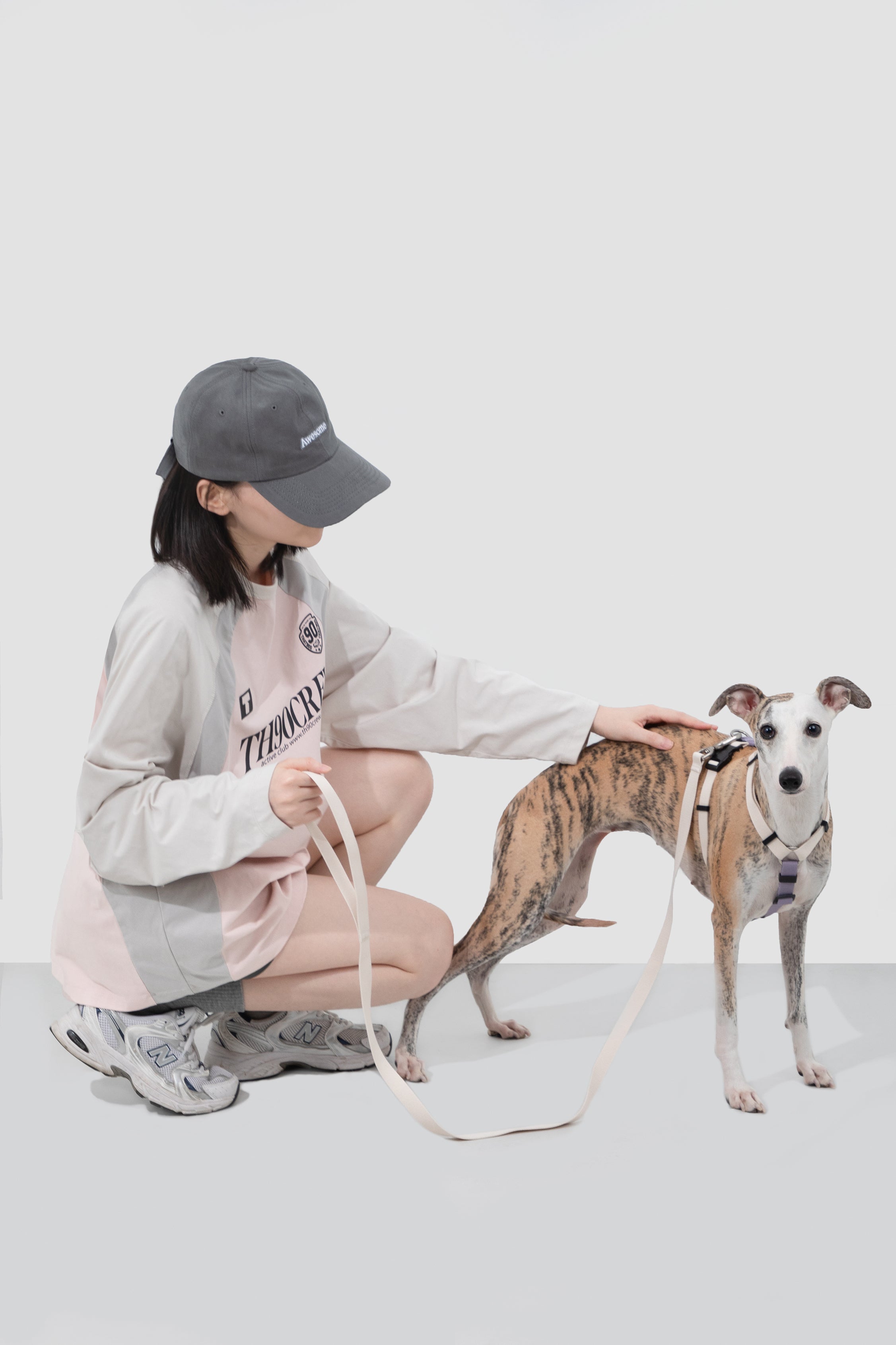 Valley series dog color blocked work chest and back