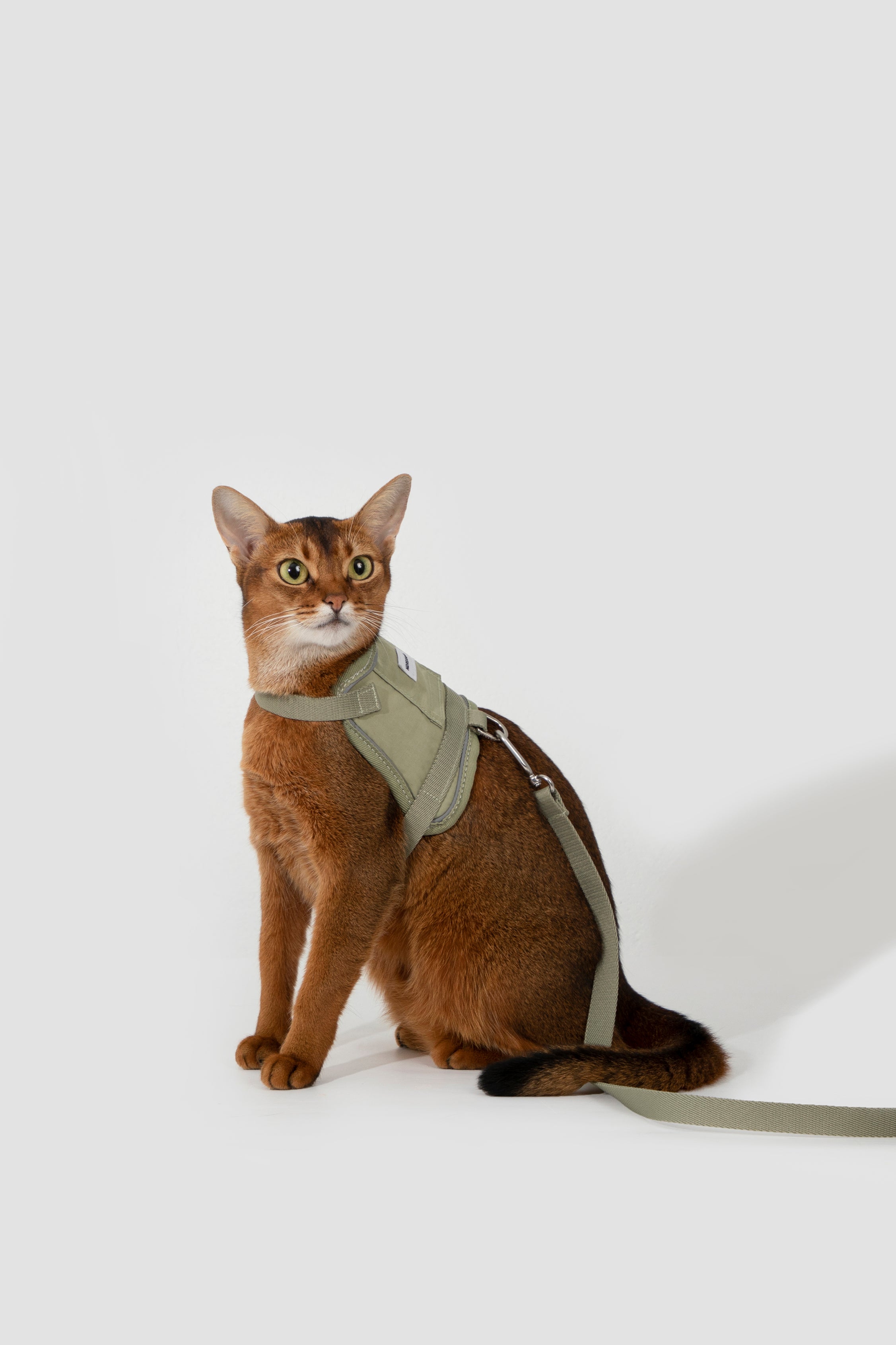 Valley series vest cat chest and back traction set