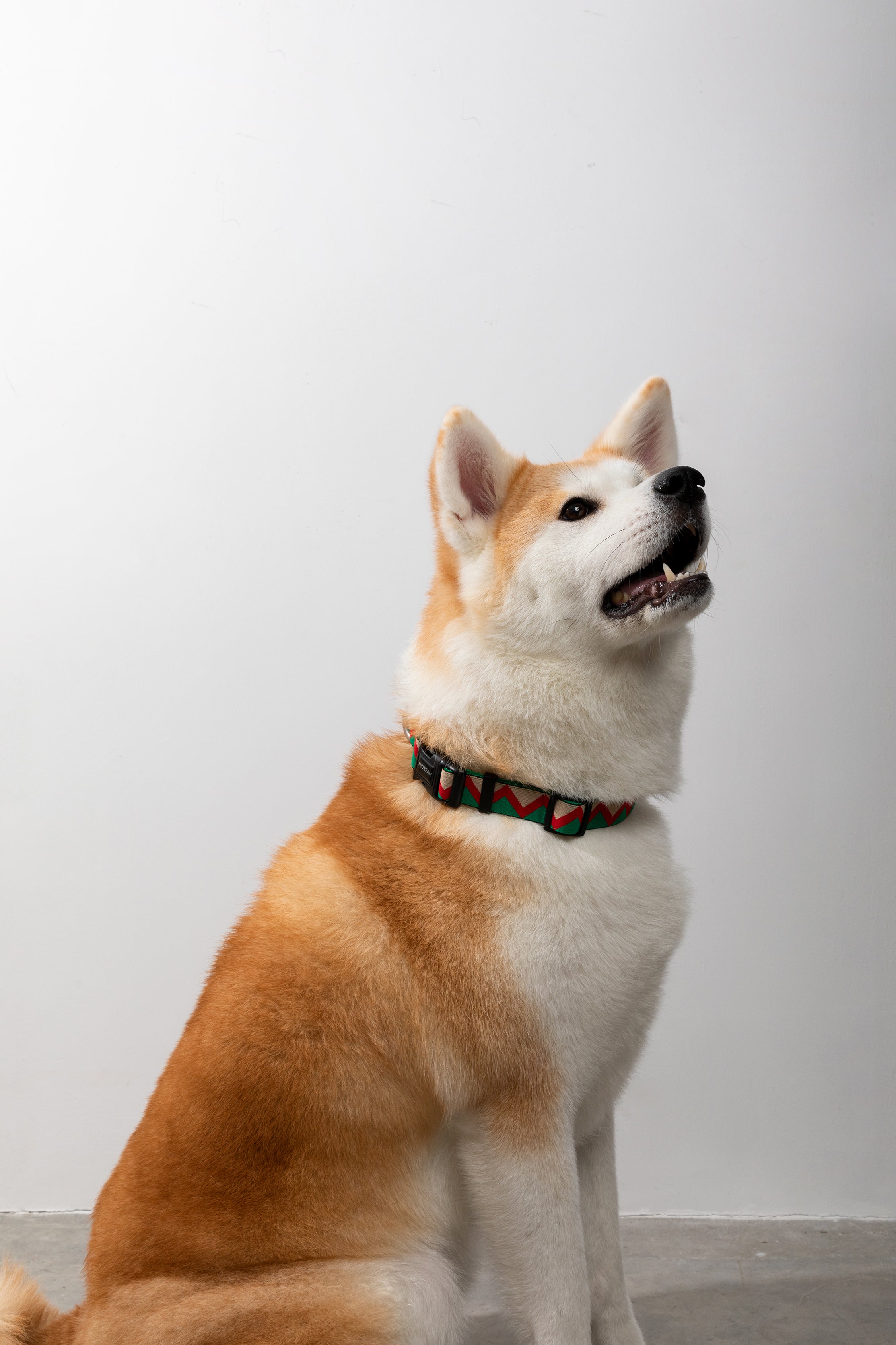 Rainbow Series - Collar