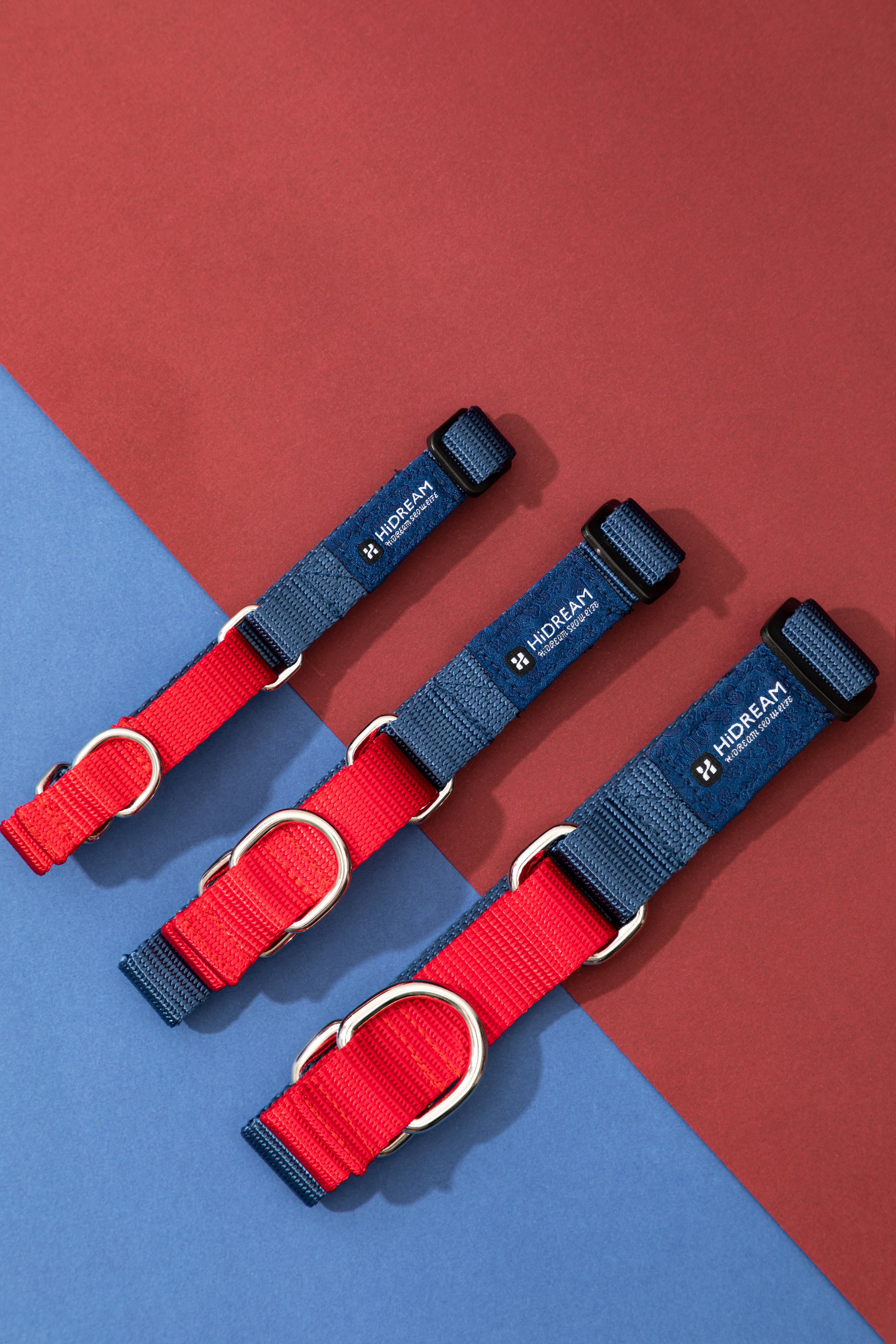 Rainbow Series - Color Contrasting Buffer Collar