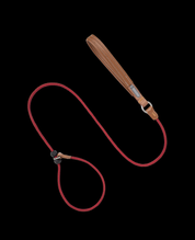 Pawsome Control Leash