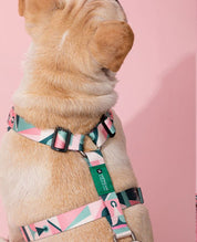 Vest Style Lightweight Chest Harness