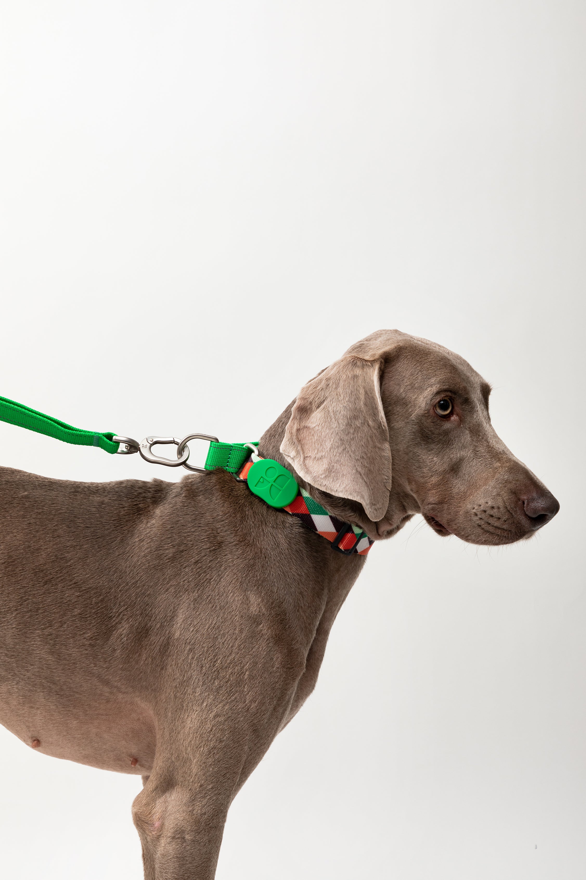 Colorful PRO Series - Half P Explosion proof Punch Collar