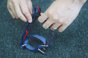 Rainbow Series - Collar