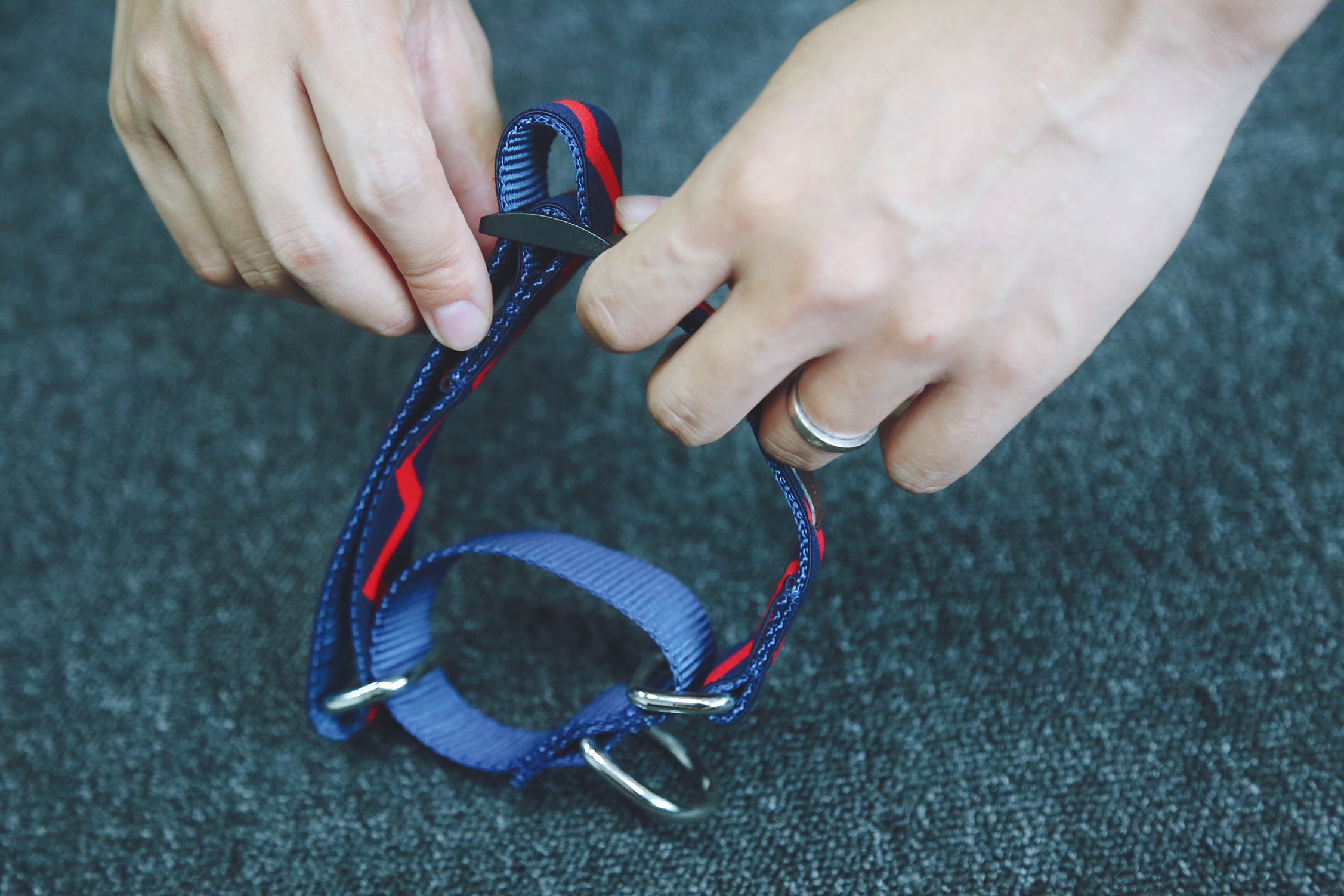 Rainbow Series - Collar