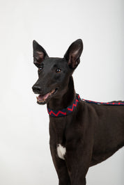 Rainbow Series - Collar