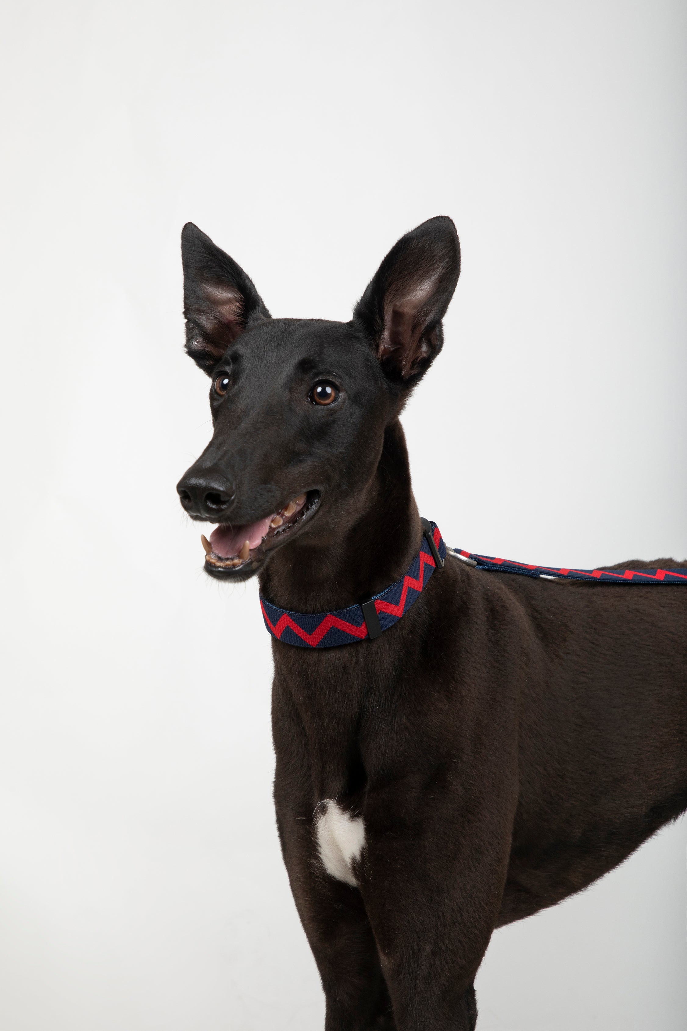 Rainbow Series - Collar