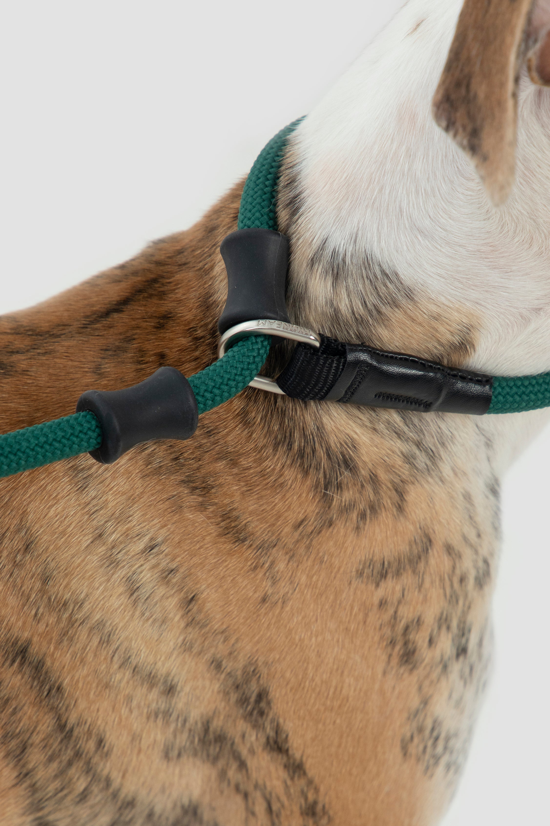 Bobo Series - Leather Integrated Coarse P Rope