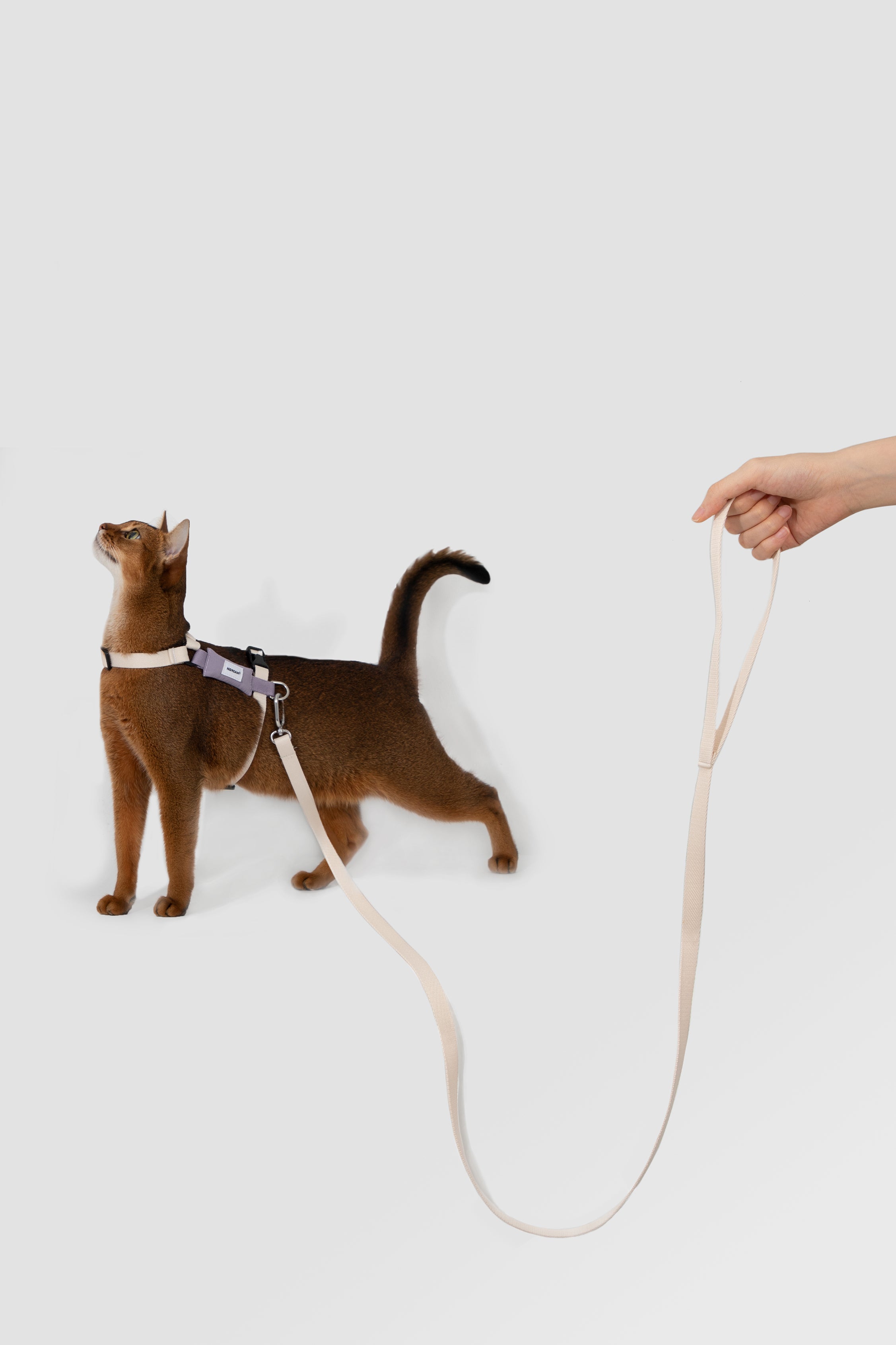 Valley Series Color blocked Cat Chest Back Traction Set