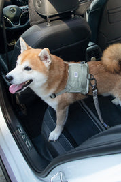 Valley series car seat belt