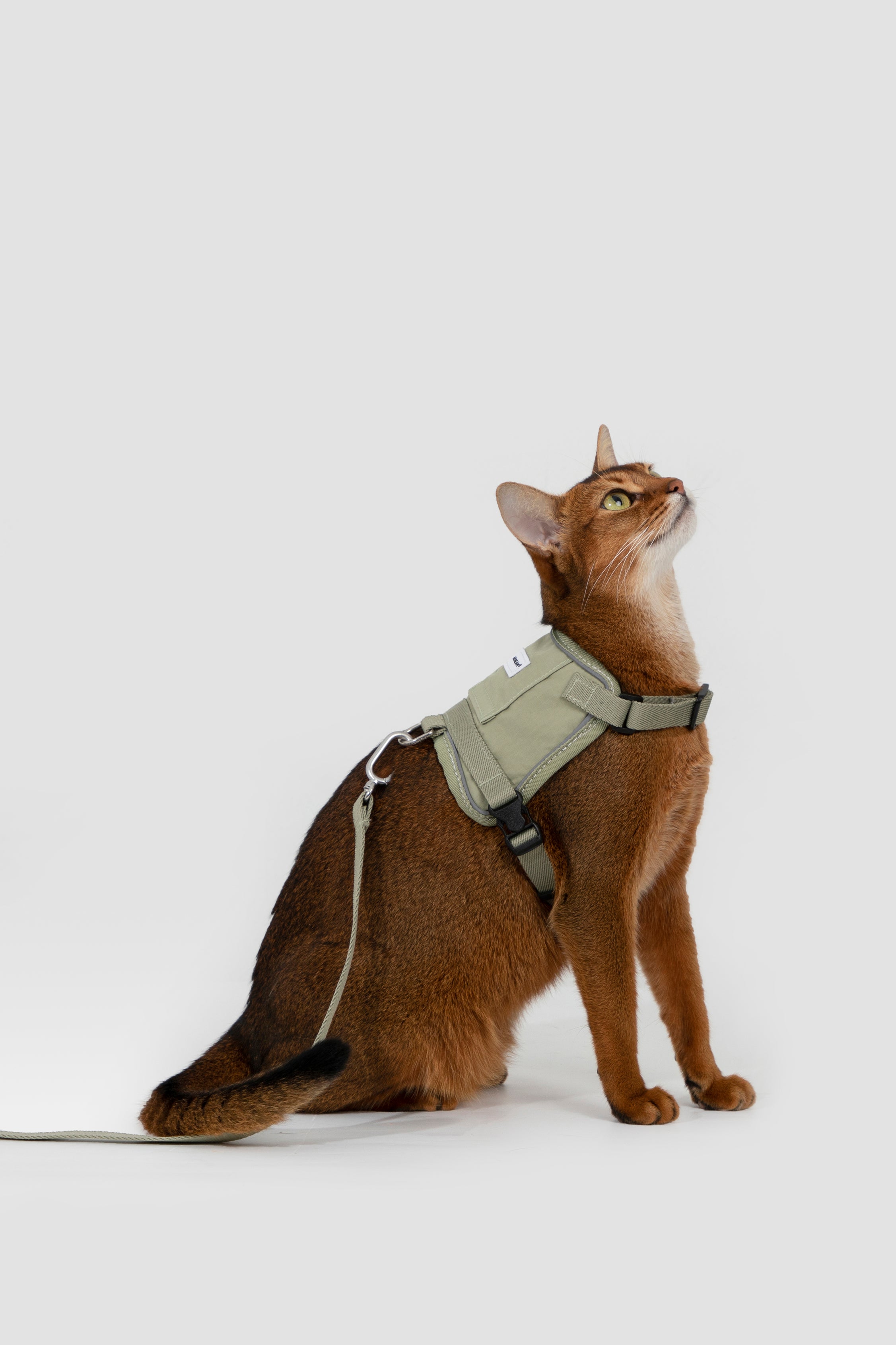 Valley series vest cat chest and back traction set