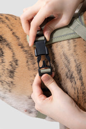 Valley series explosion-proof punching speed through dog chest and back