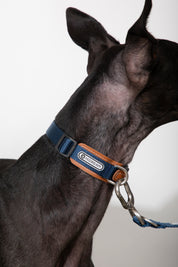 Bobo Series - Leather Collar with Spliced Leather